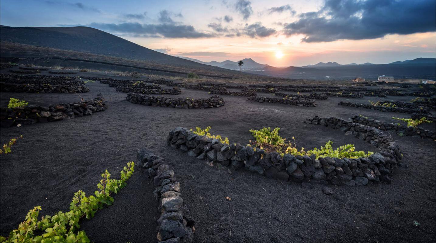 La Geria, Lanzarote